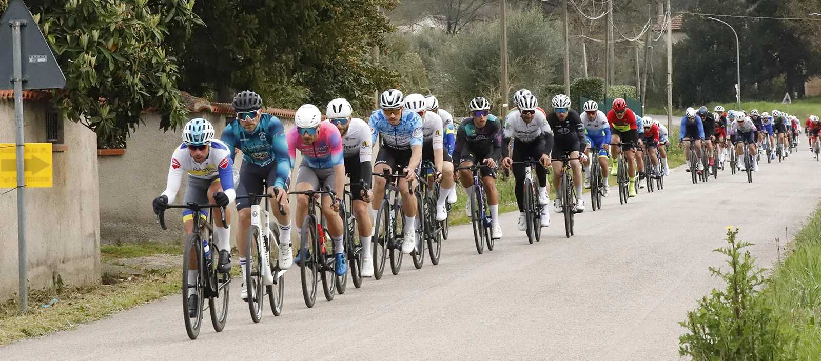 WhatsApp Image 2026-03-15 at 13.20.03