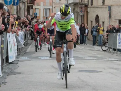 fiacco