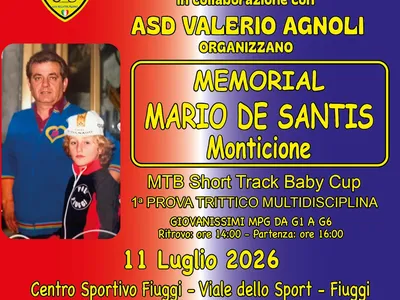 locandina 11 luglio